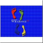 window248_w_p.jpg