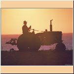tractor_at_sunset_w_p.jpg