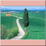 country_road_tuscany_italy.jpg