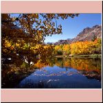w_p_eastern_sierra_in_autumn_california.jpg