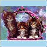 w_p_kittens_animals_wallpaper.jpg