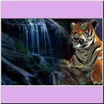 w_p_the_envious_tigress_wallpaper.jpg