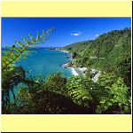 w_p_paparoa_national_park_south_island.jpg