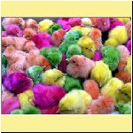 Easter_Chicks_Colorful.jpg