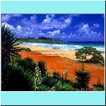 w_p_kealia_beach_kauai_hawaii.jpg