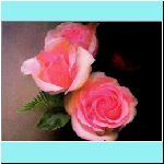 w_p_p_a_nisbet_the_roses_el.jpg